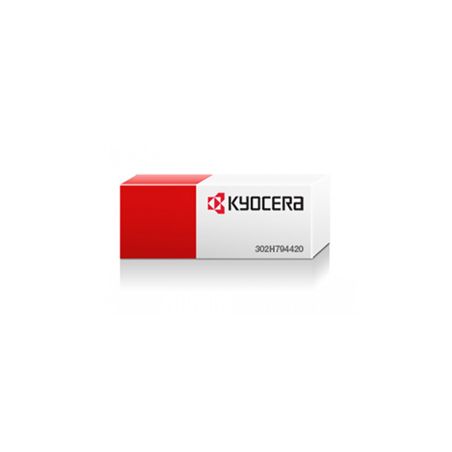 Recuperador original  -  CANON  TASK 250  -  (302H794420)