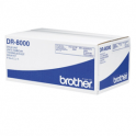 Tambor original  -  BROTHER DR8000  -  (DR8000)